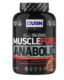 USN MUSCLE FUEL ANABOLIC V2 2KG- BULK UP – MUSCLE & STRENGTH- ALL IN ONE PROTIEN